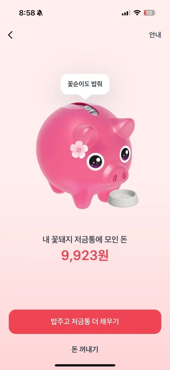 꽃돼지 토스해주시면 돈이나 기프트콘드려요